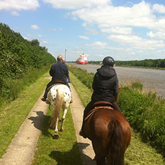 Reiten Reiten